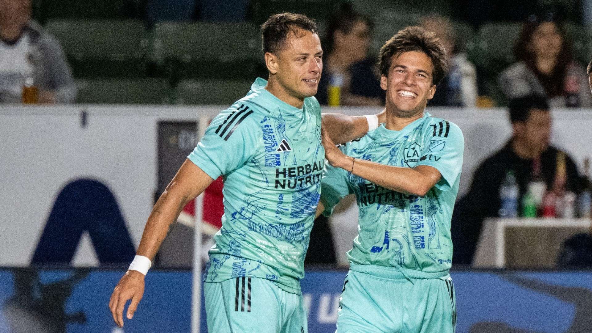 无从招架 无从招架