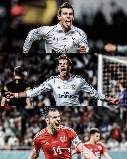 威尔士主帅：为贝尔被称寄生虫而震惊